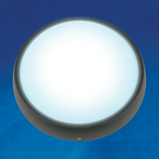 Светильник светодиодный влагозащищенный. ULW-R02-7W/DW IP54 BLACK