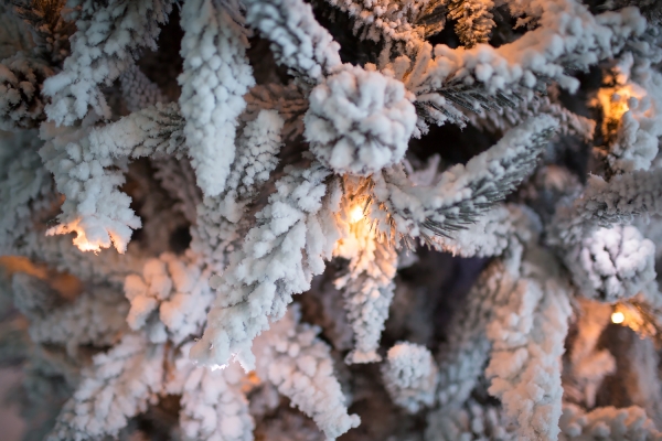Ель заснеженная световая  "Классико" Премиум (цвет свечения теплый белый + холодный белый) 150 см