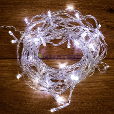 Изображение Гирлянда "Твинкл Лайт" 6 м, прозрачный ПВХ, 40 LED, цвет Белый  интернет магазин Иватек ivatec.ru