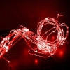 Изображение 08-057, Гирлянда "Branch light", 2,5м., 24V, красный шнур, красный  интернет магазин Иватек ivatec.ru