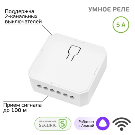 Изображение Умное Wi-Fi встраиваемое реле SECURIC двухканальное  интернет магазин Иватек ivatec.ru