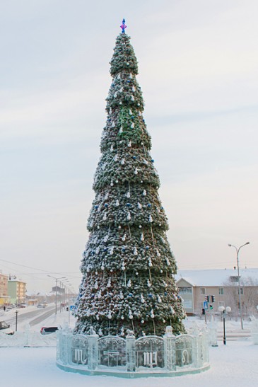 Изображение Новогодняя искусственная сосна Сибирская каркасная, высота 12м  интернет магазин Иватек ivatec.ru