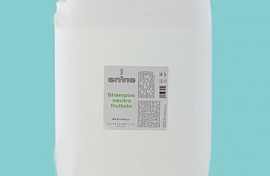 Шампунь нейтральный с фруктовым экстрактом ENVIE   10 л, 1 шт/упк , арт.602-733