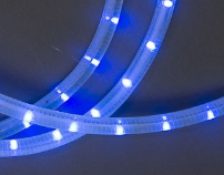 LED-СDL-2W-100M-220V-3.33CM-B синий,11.5мм, КРАТНОСТЬ РЕЗКИ 2М V1(оттенок)