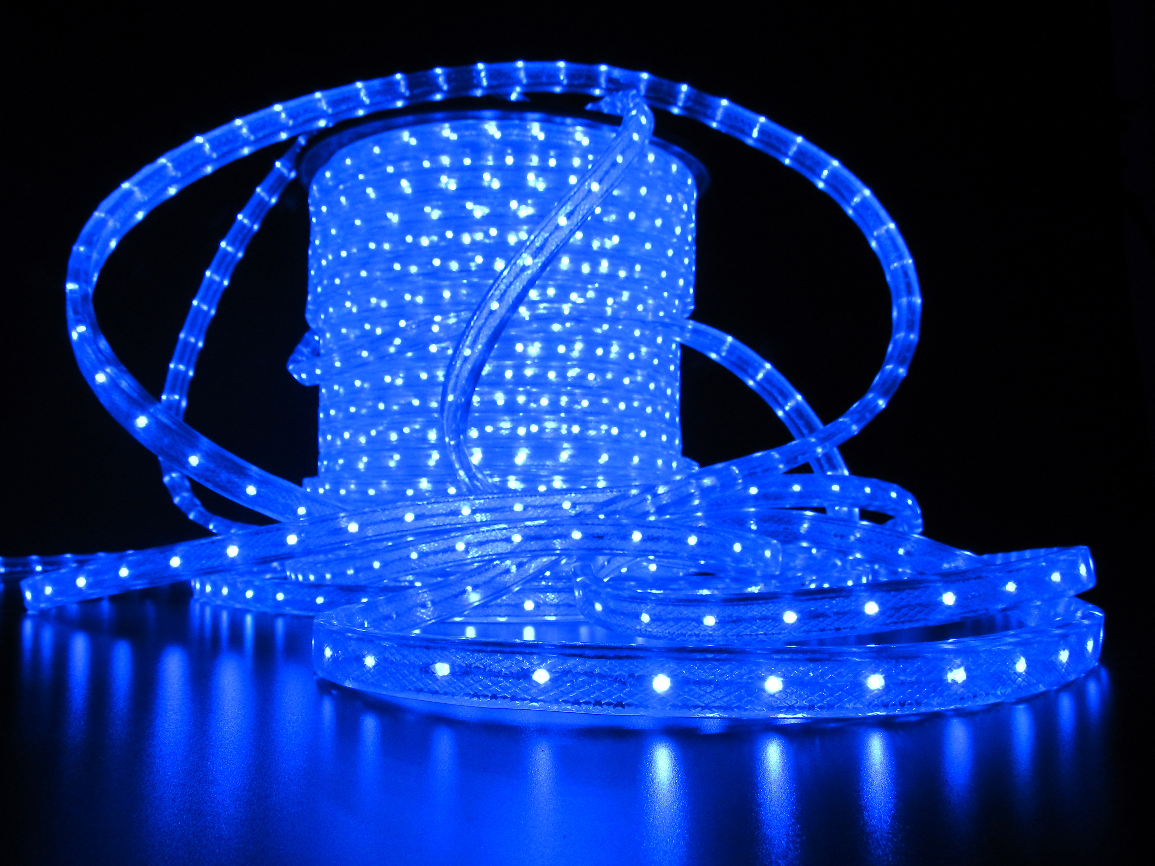 Дюралайт LED  фиксинг, синий, 220V, сечение 11*18мм, бухта 100м LED-XF-2W-100M-240V-B (2м) (FS-00000962)