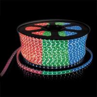 LED лента Neon-Night, герметичная в силиконовой оболочке, 220V, 13*8 мм, IP65, SMD 5050, 60 диодов/м, упак 100 м