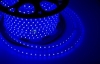 Изображение LED лента 220В, 10*7 мм, IP67, SMD 2835, 60 LED/m Синяя, бухта 100 м  интернет магазин Иватек ivatec.ru