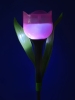 Изображение USL-C-451/PT305 PINK TULIP Садовый светильник на солнечной батарее "Розовый тюльпан". Белый свет. 1*LR аккумулятор в/к. IP44. TM Uniel.  интернет магазин Иватек ivatec.ru