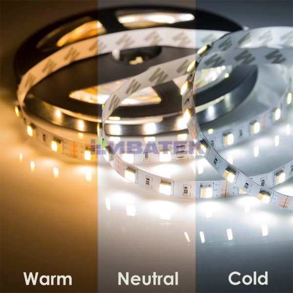 LED лента White Mix, 12 В, 12 мм, IP65, SMD 5050, 60 LED/m, Белый (6000К) +Теплый Белый (3000К)