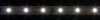 Изображение Лента светодиодная 12V 1метр, LS603/ 60SMD(2835)/м 4.8Вт/м 12V 1000*8*1.22мм 6500К  интернет магазин Иватек ivatec.ru