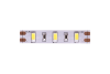 Изображение Лента светодиодная стандарт 5630, 60 LED/м, 12 Вт/м, 12В , IP20, Цвет: Холодный белый, 00-00001688  интернет магазин Иватек ivatec.ru
