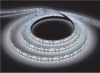 Изображение Лента светодиодная 12V 5 метров, LS613/ 120SMD(2835)/м 9.6Вт/м 12V 5000*10*1.84мм 6500К, IP65  интернет магазин Иватек ivatec.ru