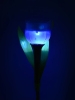 Изображение USL-C-454/PT305 BLUE TULIP  Садовый светильник на солнечной батарее "Синий тюльпан". Белый свет. 1*LR аккумулятор в/к. IP44. TM Uniel.  интернет магазин Иватек ivatec.ru