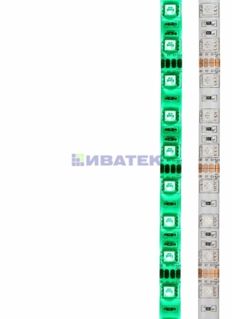 Изображение LED лента силикон, 10мм, IP65, SMD 5050, 60 LED/m, 12V, зеленая  интернет магазин Иватек ivatec.ru