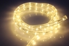 Изображение LED-DL-2W-100M-1M-12V-WW Светодиодный дюралайт,2-х проводной, белый теплый свет,13мм, расстояние меж  интернет магазин Иватек ivatec.ru