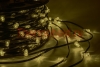 Изображение Гирлянда "LED ClipLight" 12V 150 мм, цвет диодов ТЕПЛЫЙ БЕЛЫЙ(упак 100м)  интернет магазин Иватек ivatec.ru