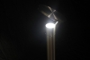 Изображение 682411 Влагозащищённый Светодиодный Светильник (Бра), 1 светодиод, общая мощность 7Вт, IP54, световая температур 5000К  интернет магазин Иватек ivatec.ru