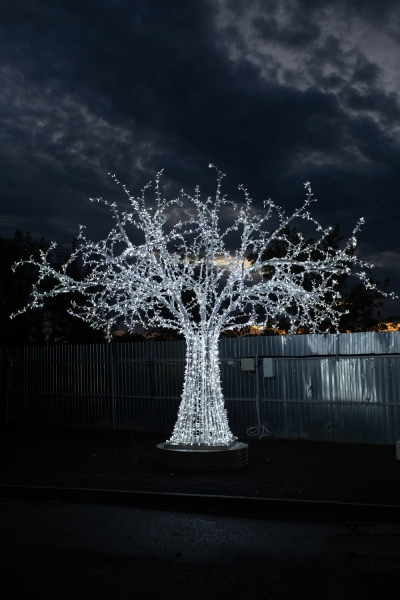 Изображение Световое дерево 5м, цвет холодный белый  интернет магазин Иватек ivatec.ru