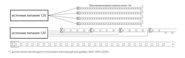 Лента светодиодная 12V 5 метров неоновая, LS651/ 180SMD(2835)/м 14,4Вт/м 12V 5000*13*13мм, 6500К, IP68