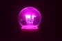 Изображение Лампа для новогодней гирлянды "Белт-лайт" шар LED е27 DIA 45, 6 розовых светодиодов, эффект лампы на  интернет магазин Иватек ivatec.ru