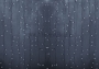 Изображение Гирлянда новогодняя "Светодиодный Дождь" 2х9м, постоянное свечение, прозрачный провод, 220В, Белый  интернет магазин Иватек ivatec.ru