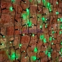 Изображение Гирлянда "Светодиодный Дождь" 2х1,5м, постоянное свечение, темно-зеленый провод, 220В, диоды ЗЕЛЁНЫЕ  интернет магазин Иватек ivatec.ru