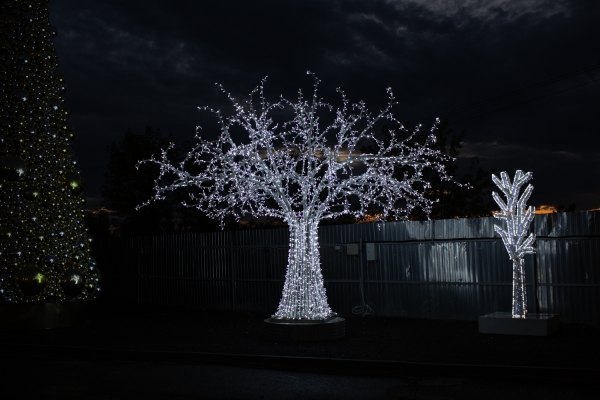 Изображение Световое дерево 5м, цвет холодный белый  интернет магазин Иватек ivatec.ru