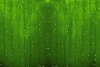 Изображение Гирлянда новогодняя "Светодиодный Дождь" 2х3м, постоянное свечение, прозрачный провод, 220В, Зеленый  интернет магазин Иватек ivatec.ru