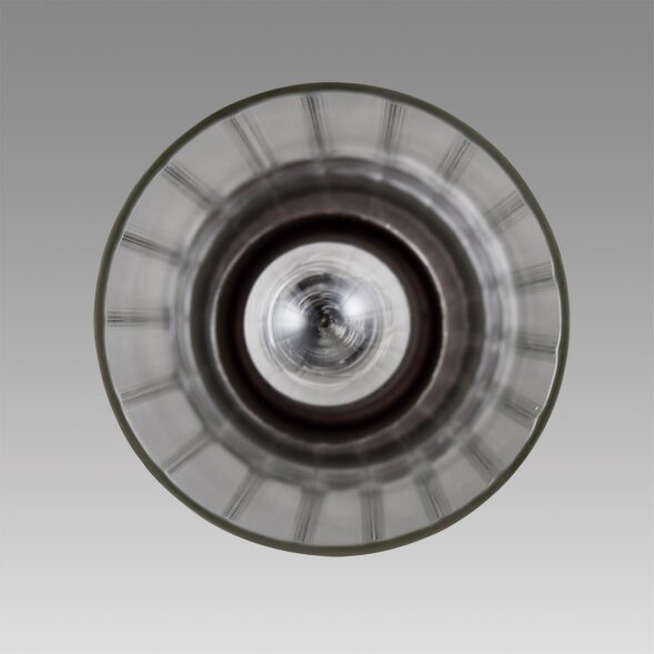 8102/1A COMFI LN25 326 хром/прозрачный металл/металл Подвес Е14 1*40W 220V ISHA