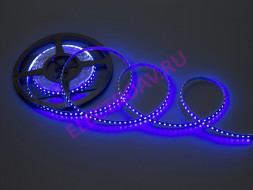FLEX-SS5600B-B 5M Гибкая LED полоса, цвет синий, 120светодиодов 35*28 на 1 м, 5м/уп., DC12V, 9.6W/м, 5м/10мм,IP22 белая основа