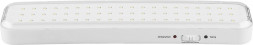 Светильник аккумуляторный, 60LED AC/DC, белый, EL121