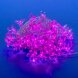 ULD-S0700-050/DTA PINK IP20 PINK SAKURA Гирлянда светодиодная с контроллером «Сакура розовая», 50 светодиодов, 7 м, розовая,IP20,провод прозрачный