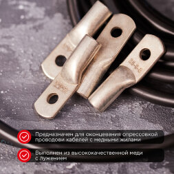 Наконечник медный луженый ТМЛ 25–6–8 (25мм2 - O6мм) ГОСТ 7386-80 (в упак. 100 шт.) REXANT