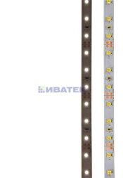 Лента светодиодная 12В, SMD2835, 4,8Вт/м, 60 LED/м, 6500K, 8мм, 5м, IP20 LAMPER