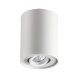 3564/1C ODL18 185 белый Потолочный накладной светильник IP20 GU10 1*50W 220V PILLARON