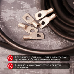 Наконечник медный луженый ТМЛ-Р 10–6 (10мм2 - O6мм) (в упак. 100 шт.) REXANT