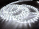 LED-DL-2W-100M-1M-24V-W Светодиодный дюралайт фиксинг, белый, 13мм, 24V, кратность 1м. Neo-Neon