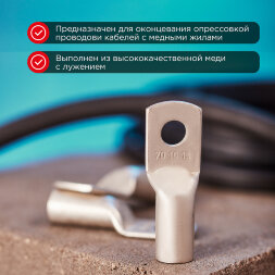 Наконечник медный луженый ТМЛ 70–10–13 (70мм2 - O10мм) ГОСТ 7386-80 (в упак. 2 шт.) REXANT