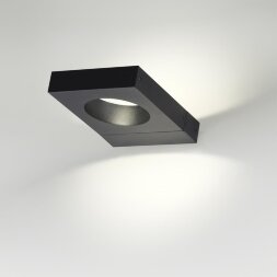 6653/5WL NATURE ODL24 623 черный/металл/акрил Уличный настенный светильник IP54 LED 5W 4000K AC85-26