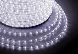 Дюралайт LED двухжильный 230В 10мм 24 LED/м БЕЛЫЙ постоянное свечение модуль 2м бухта 100м NEON-NIGHT