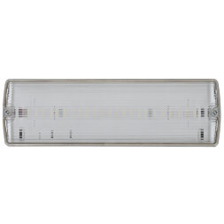 ULR-E51-10W/4000K WHITE ВЫХОД/EXIT S01 Светильник светодиодный аварийного освещения, влагозащищенный, IP65. Белый свет (4000K). Встроенный аккумулятор. Корпус белый. ТМ Uniel